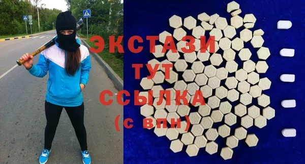 ECSTASY Няндома