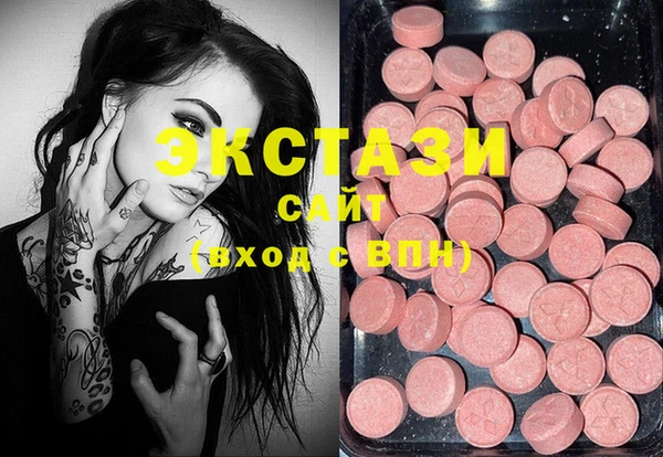 ECSTASY Няндома