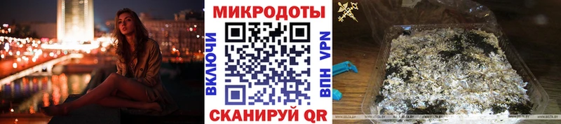 Псилоцибиновые грибы Psilocybine cubensis  Балабаново 